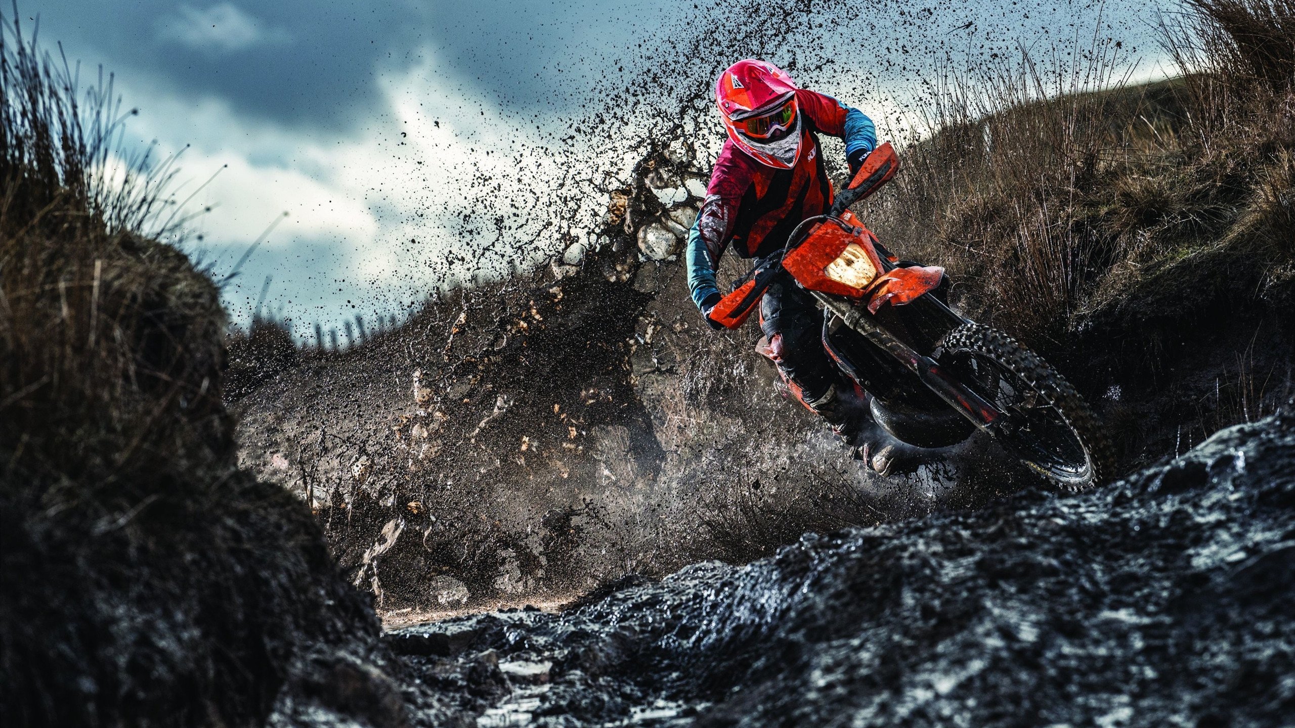 年度焦点之战之夜，当阿尔瓦雷斯用杀伤为拳坛写下新定义